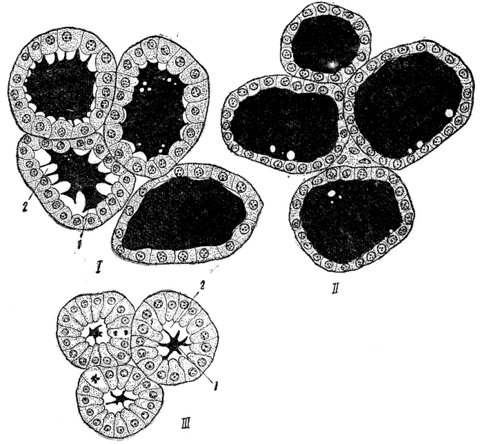 . 45.    , I -     ; II -     ; III -      ( - . 5, . 40):